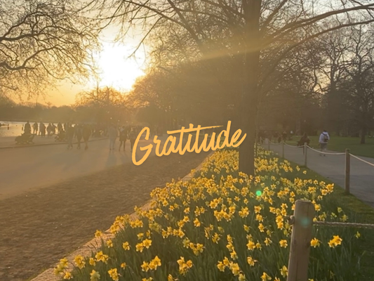 A Gratitude Practice for the Weeks That Feel Too Busy